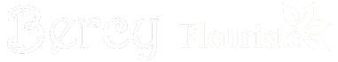 logo Bercy fleuriste